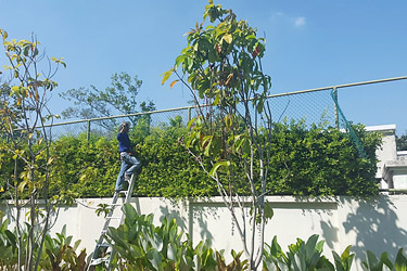 Removing of tennis court fence is in progress